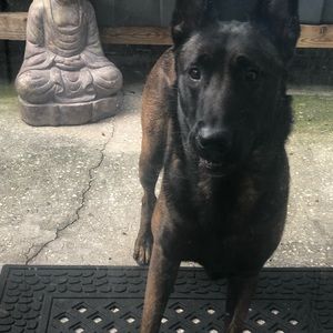 Meet your Posher, Johnathan